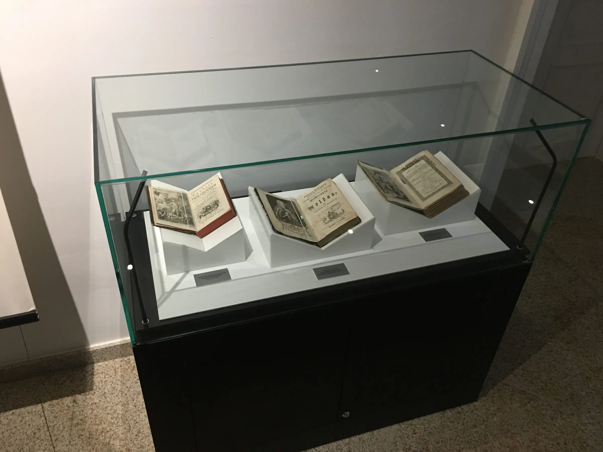 Glass display case with open antique books at the National Museum of Bukovina